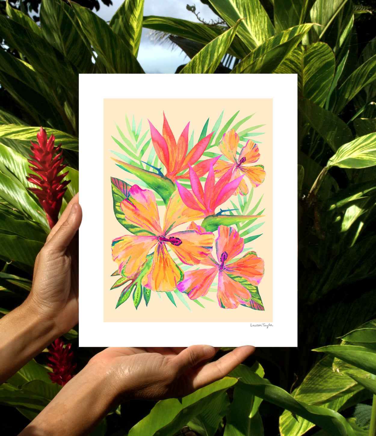 HIBISCUS PARADISE top